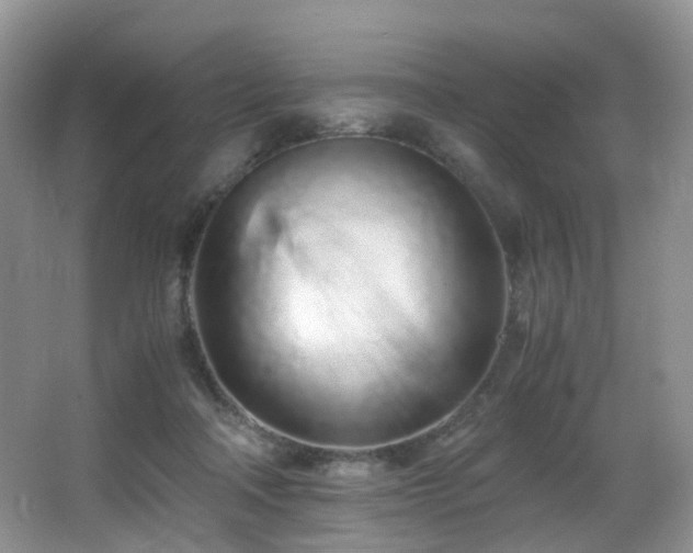 X0000067000314200603241349