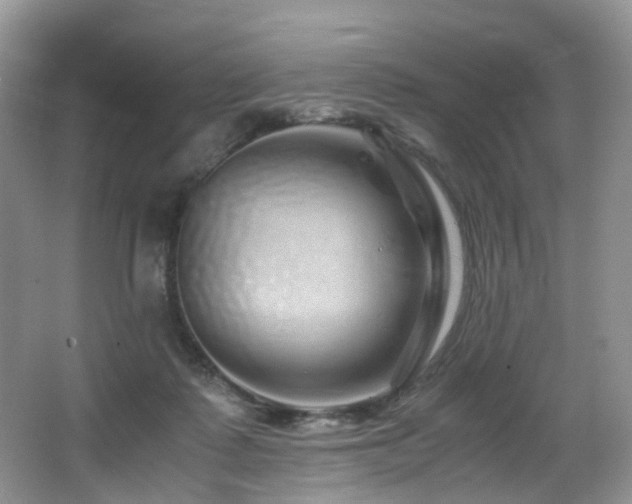X0000067000315200603241349