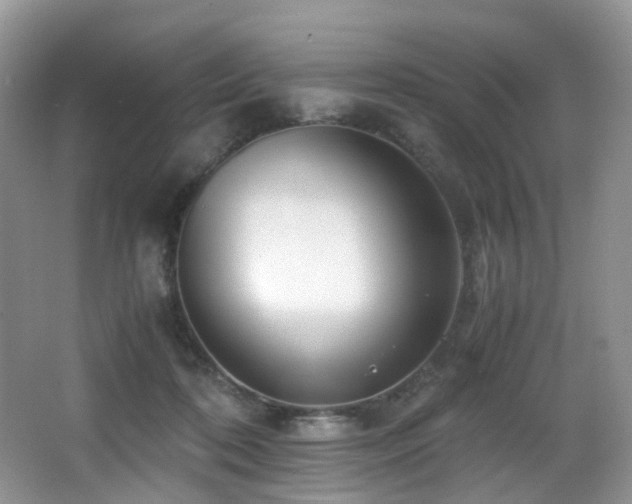 X0000067000316200603241349