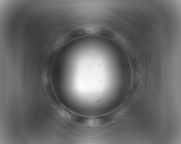 X0000067000317200603241349