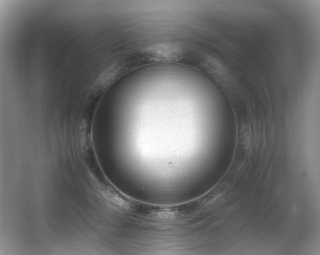 X0000067000318200603241349