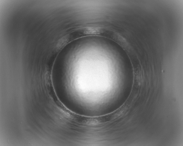 X0000067000322200603241349