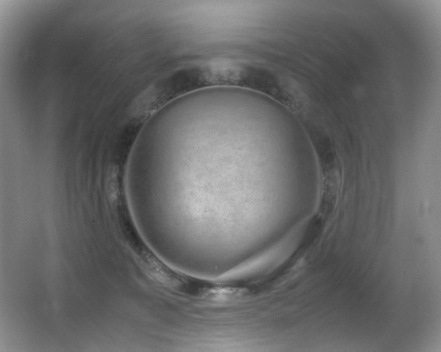 X0000067000323200603241349