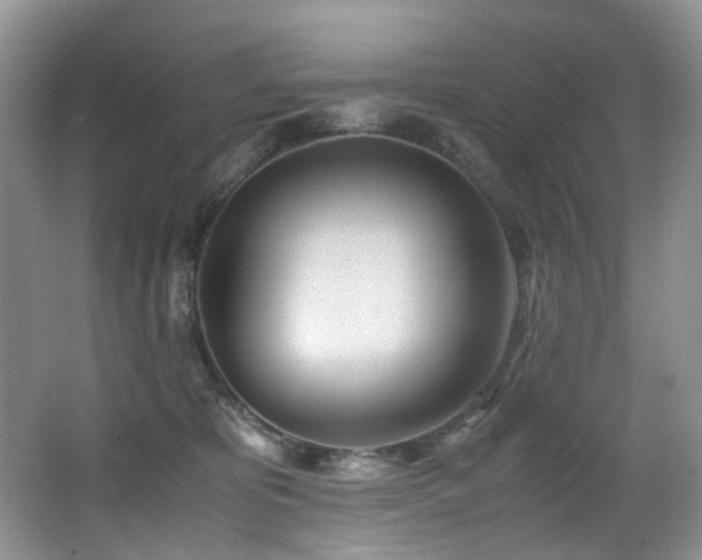 X0000067000325200603241349