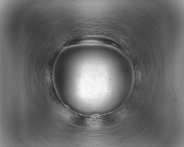 X0000067000331200603241348