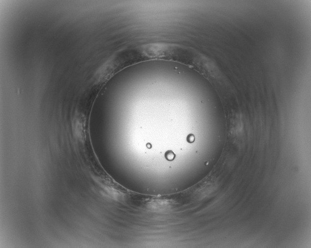 X0000067000332200603241348