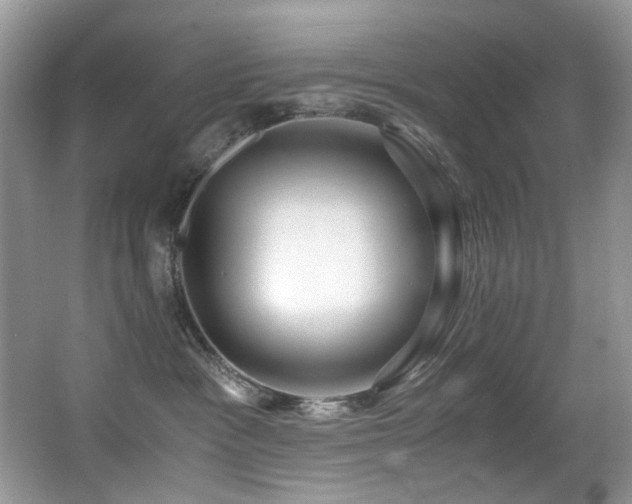 X0000067000333200603241348