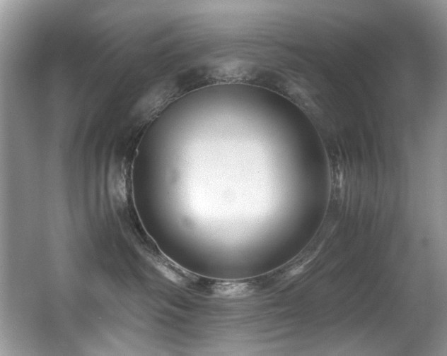 X0000067000334200603241348