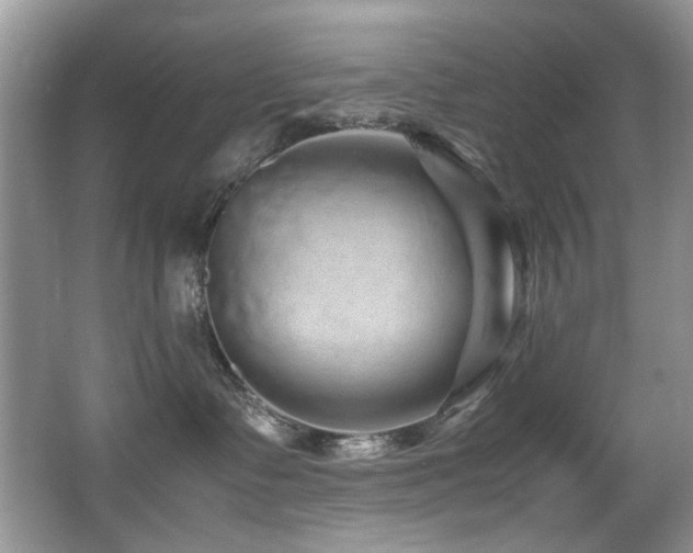 X0000067000335200603241348