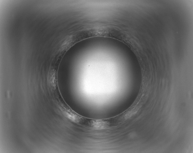 X0000067000336200603241348