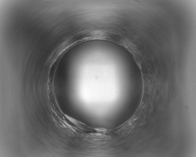 X0000067000338200603241348