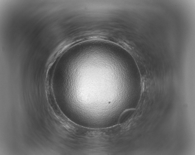 X0000067000339200603241348