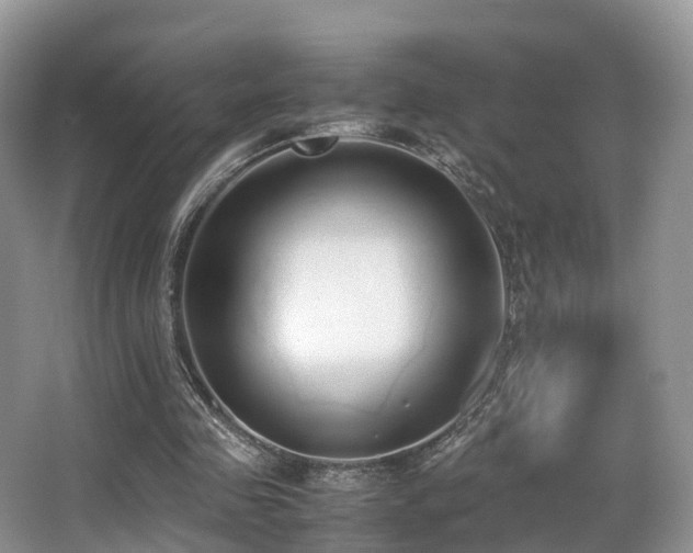 X0000067000341200603241348