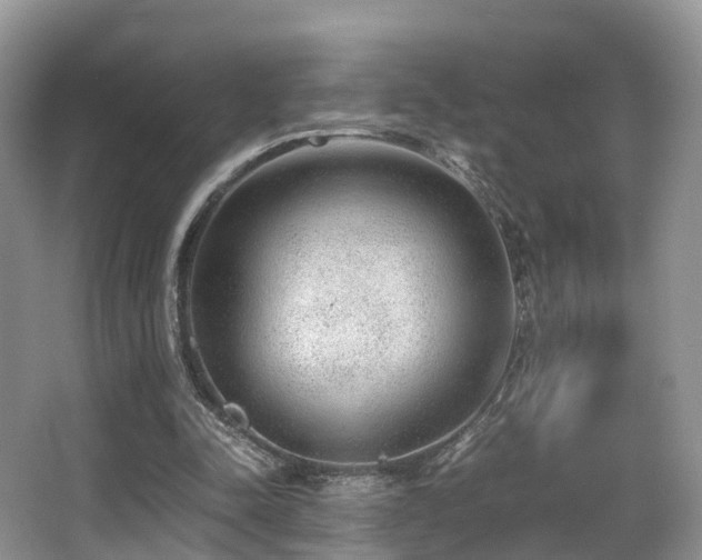 X0000067000342200603241348