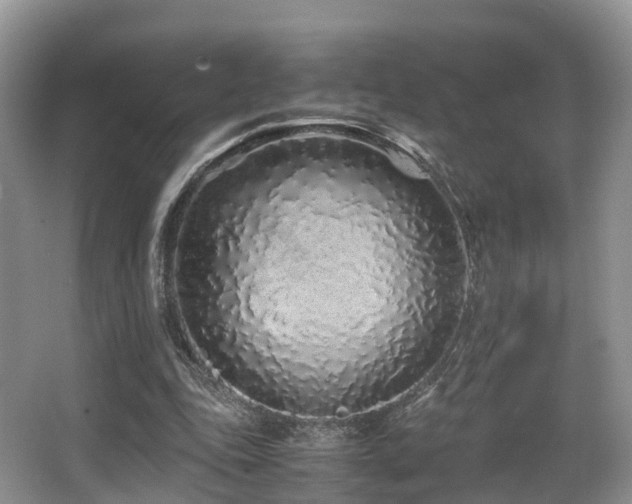 X0000067000343200603241348