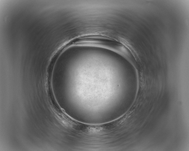 X0000067000346200603241348