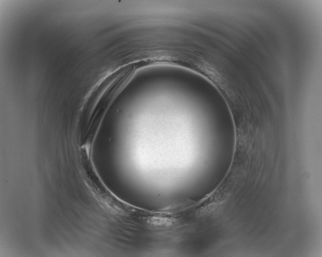 X0000067000347200603241348