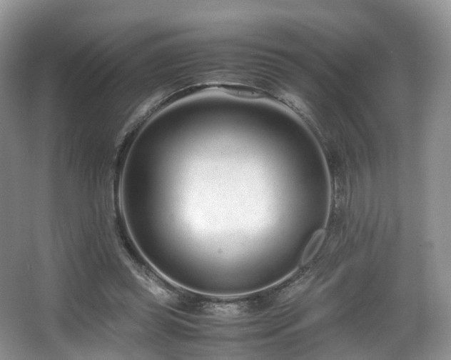 X0000067000349200603241348