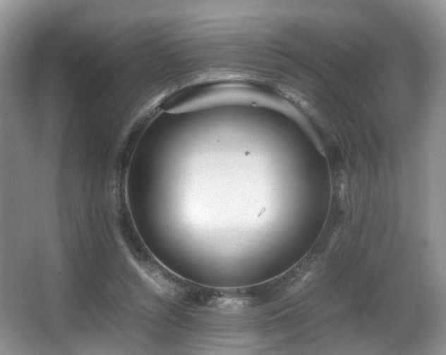 X0000067000352200603241348