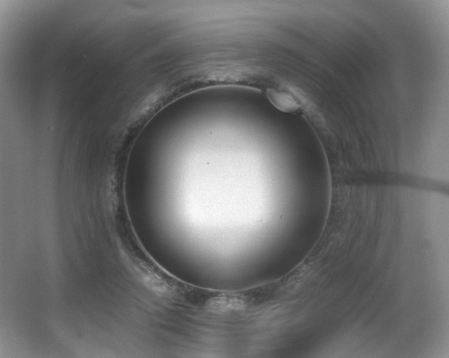 X0000067000354200603241348
