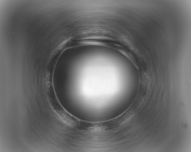 X0000067000356200603241348