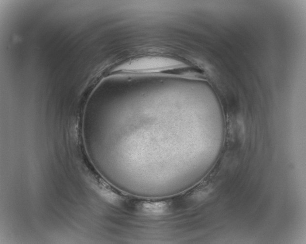 X0000067000357200603241348