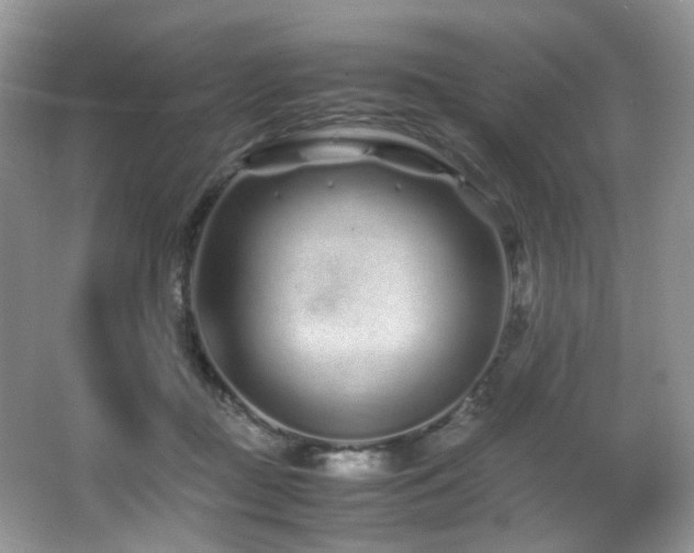 X0000067000363200603241348