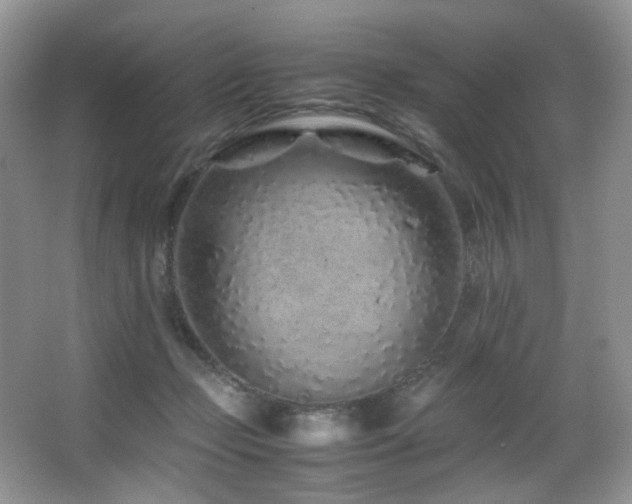 X0000067000365200603241348