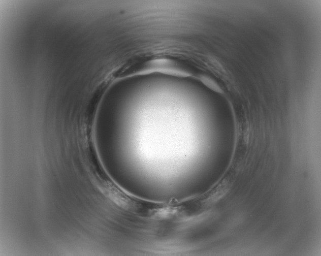 X0000067000366200603241348