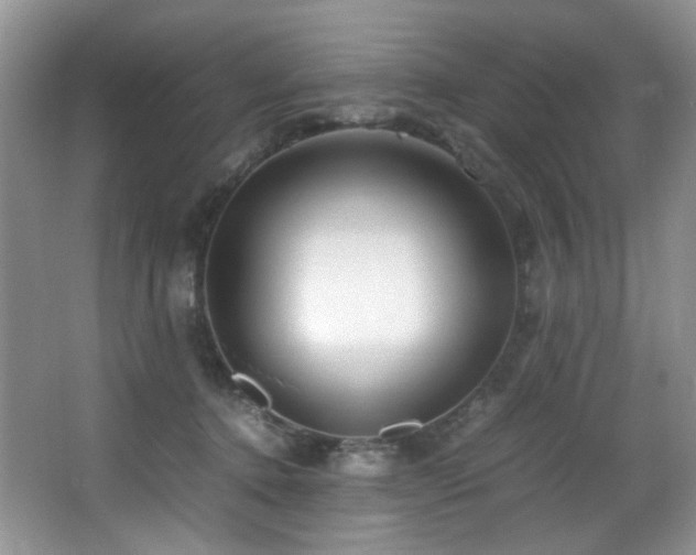 X0000067000368200603241348