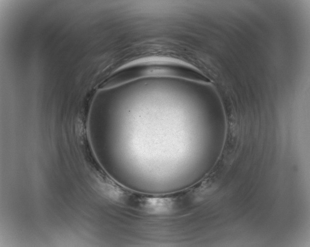 X0000067000371200603241348