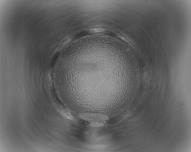 X0000067000373200603241348