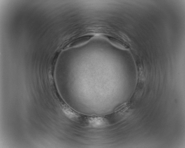 X0000067000377200603241348
