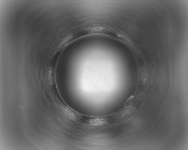 X0000067000378200603241348