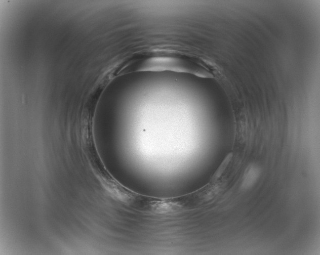 X0000067000379200603241348