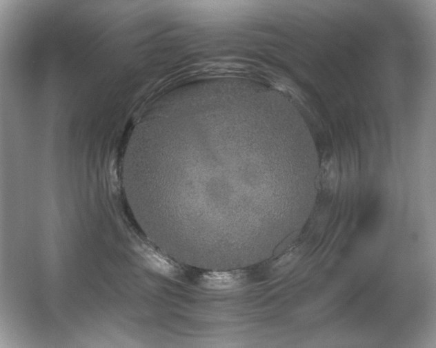 X0000067000381200603241348
