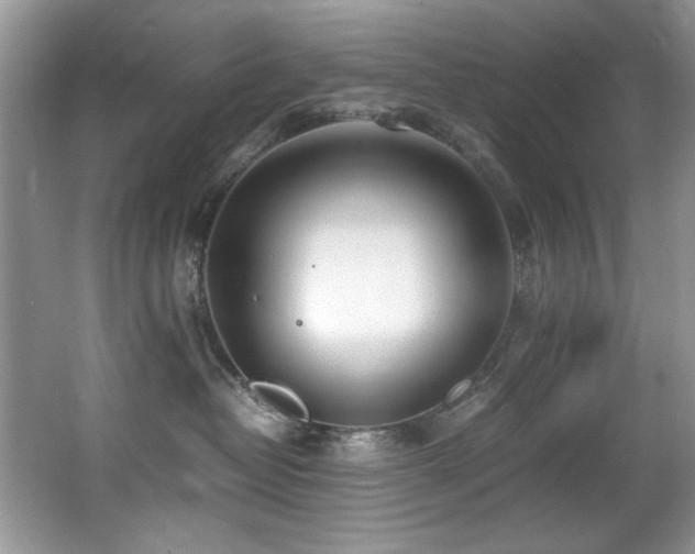 X0000067000382200603241348