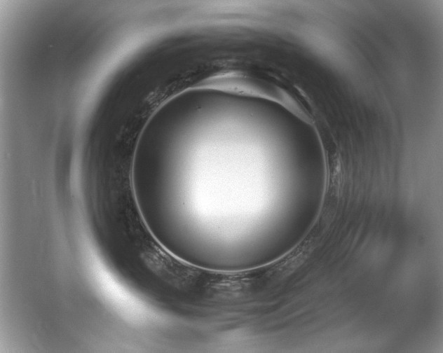 X0000067000383200603241348