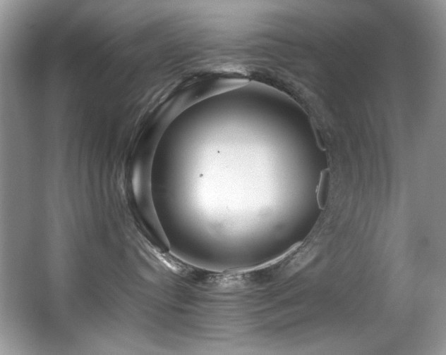 X0000067000384200603241348