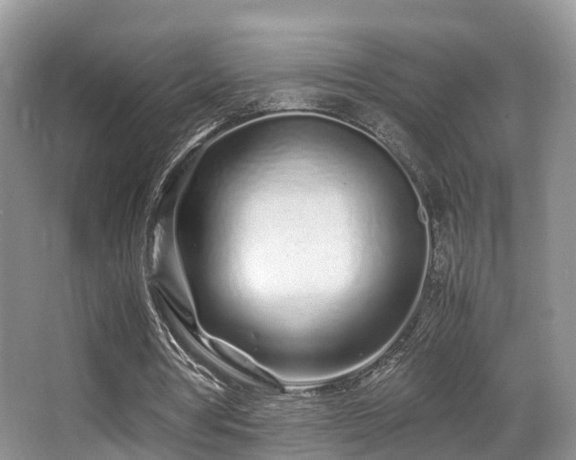 X0000067000386200603241348