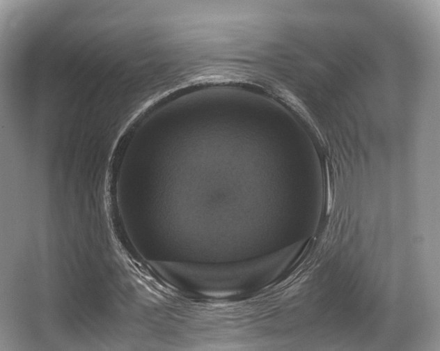 X0000067000387200603241348