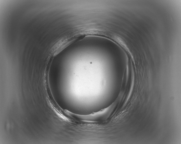 X0000067000389200603241348