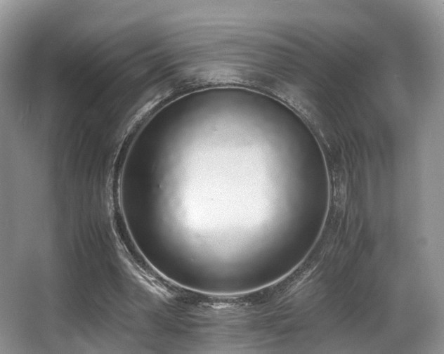 X0000067000390200603241347