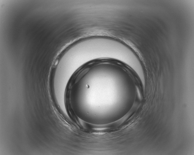X0000067000391200603241347