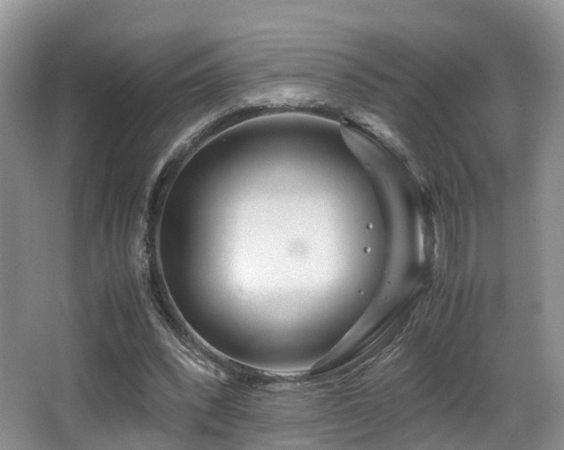 X0000067000392200603241347