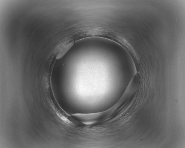 X0000067000393200603241347
