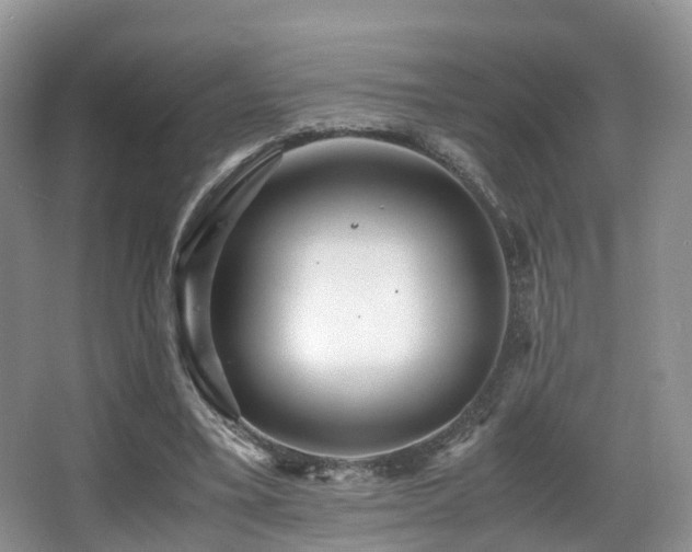 X0000067000395200603241347