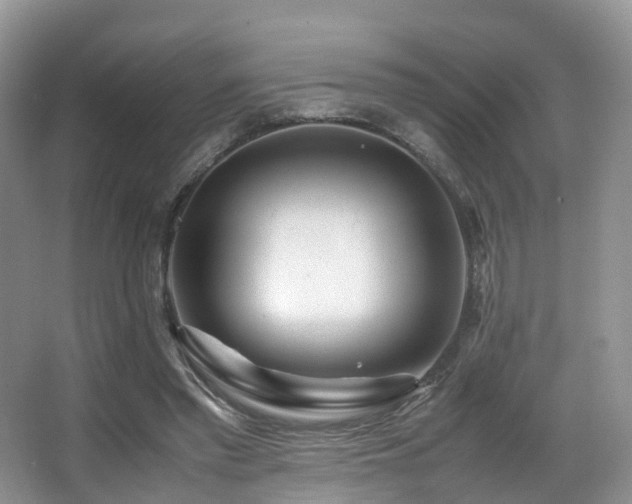 X0000067000397200603241347