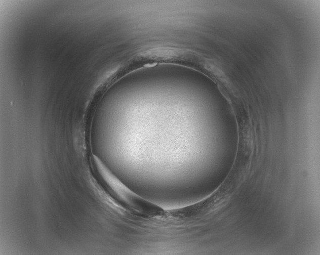 X0000067000399200603241347
