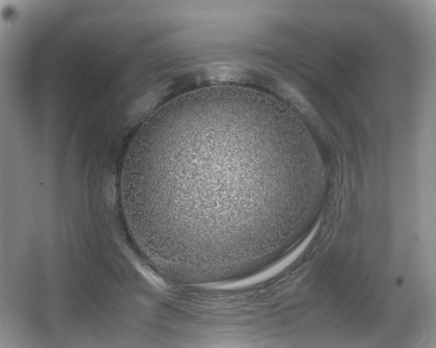 X0000067000401200603241347